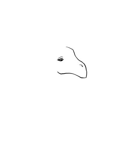 ワイルドモルモット 4枚で完成するシリーズ 絵 当てる 正解