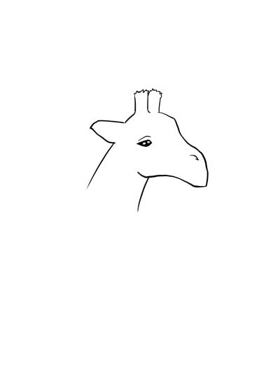 ワイルドモルモット 4枚で完成するシリーズ 絵 当てる 正解