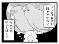 頭をかいてほしいインコの予想外の行動とは!?　わがままかわいい姿を描いた漫画にインコ飼いから共感の声