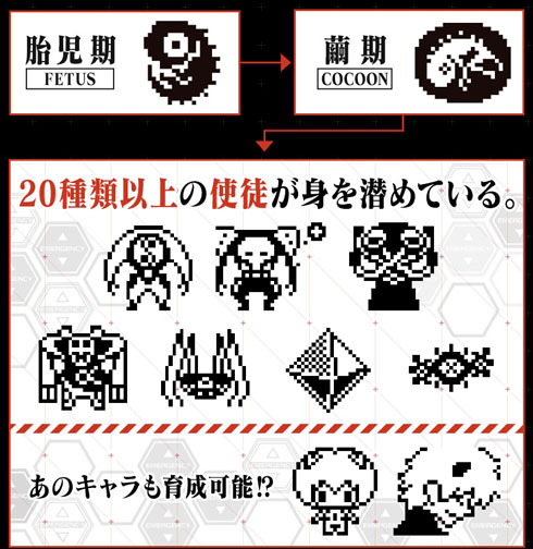 エヴァっち