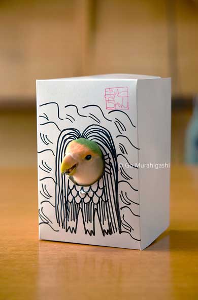 アマビエ インコ おとちゃん  かわいい 写真 村東剛
