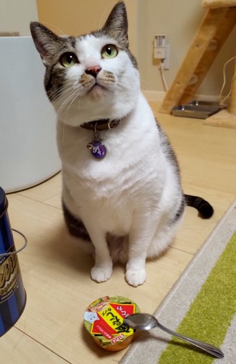 ごはんの前に座るめいちゃん