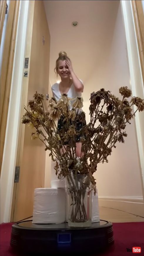 偶然の出会いから別れまで　ルンバとの恋愛がロマンチック