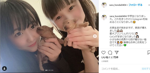 本田紗来 本田望結