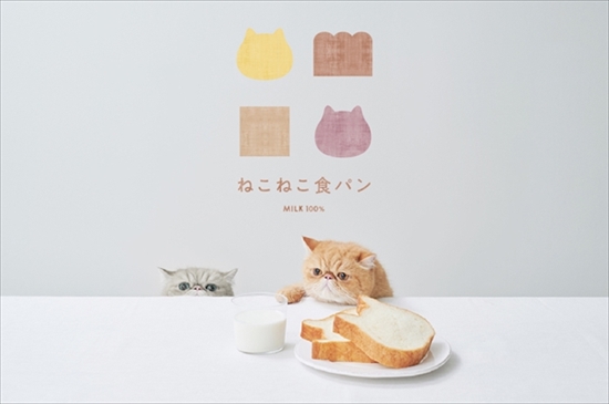 ねこねこ食パン通信販売