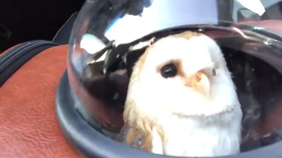 宇宙船キャリーバッグ