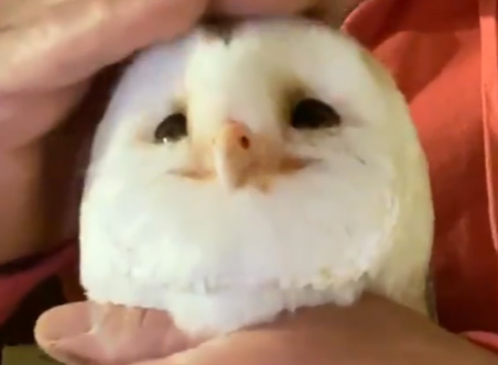 にっこりなミコトさんアップ