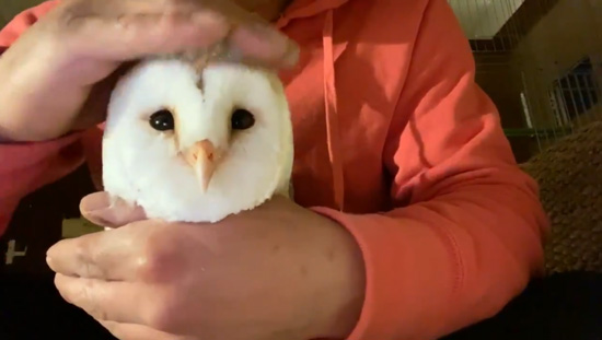 真顔になったミコトさん