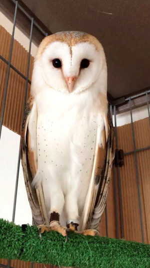 ミコトさん命名の写真