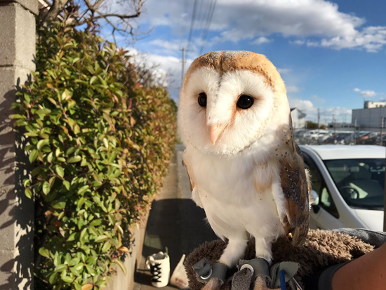 青空背景のミコトさん