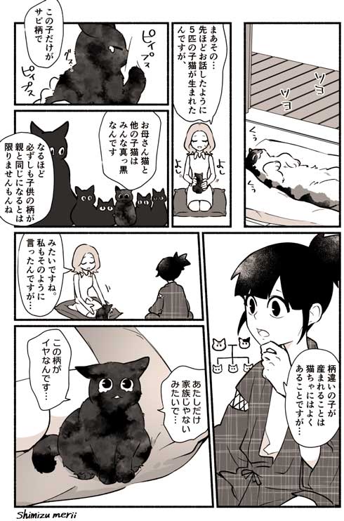 猫塗り屋 漫画 清水めりぃ 書籍化 猫 柄 塗り直し りんちゃ モフ田