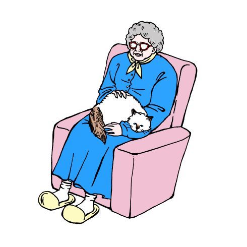 ホテルシェルター