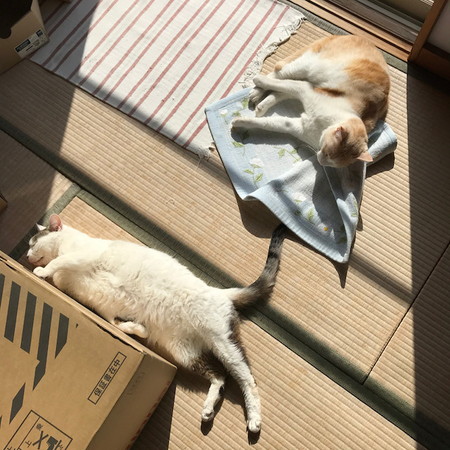 推理