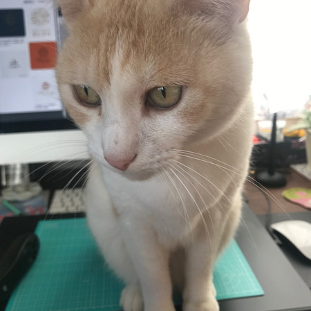 待つ男