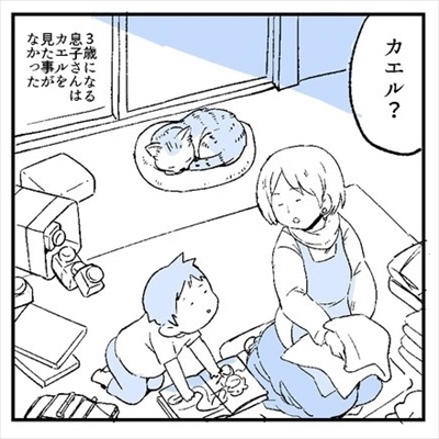 不思議な猫ちゃん