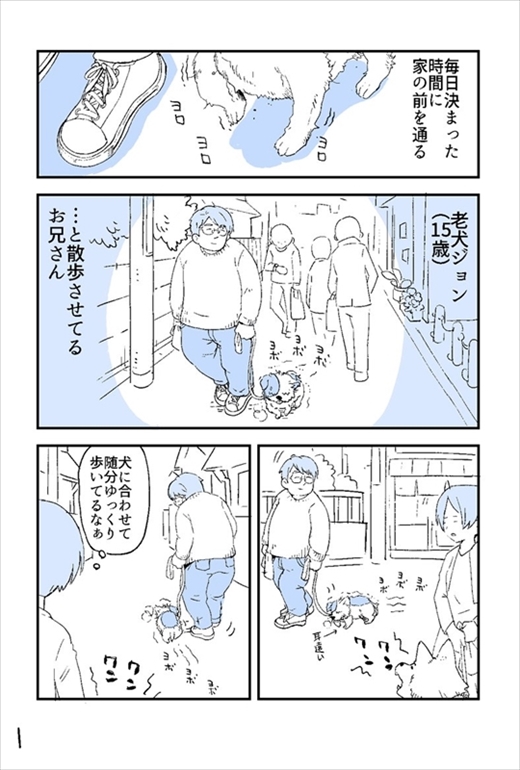 不思議な猫ちゃん