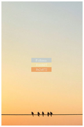 カラーコードの空