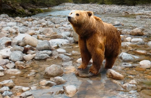 1枚の平面写真から立体画像を出力する技術　バージニア工科大学などが発表