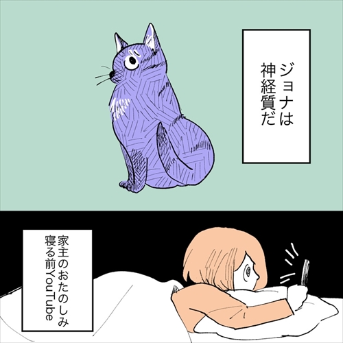 神経質キャット