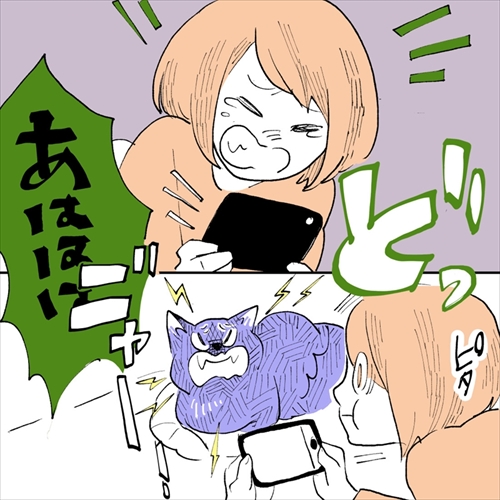 神経質キャット