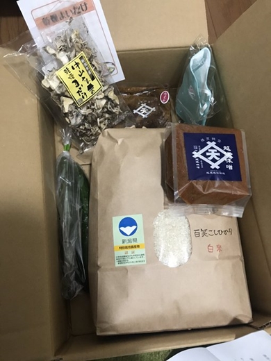 COVID-19 新型コロナ 燕市