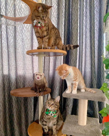 みんなでタワーに