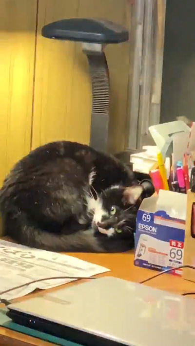 ライトオンのちびさんアップ