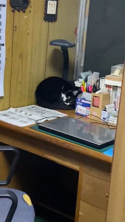 ちびさんややアップ