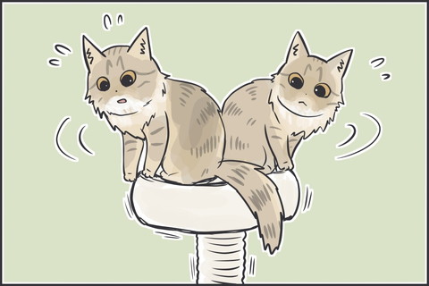てっぺんのマロちゃん