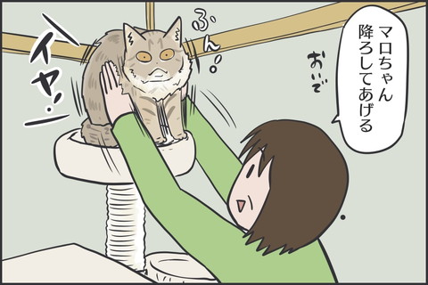 てっぺんのマロちゃん