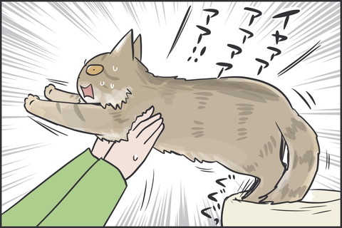 てっぺんのマロちゃん