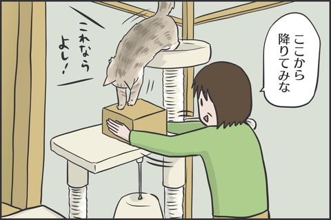 てっぺんのマロちゃん