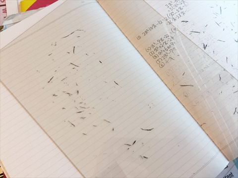 錯視トリックノート