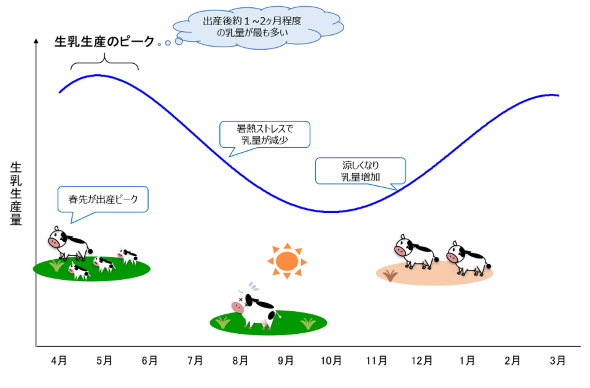 乳牛 牛乳 廃棄 プラスワン 農林水産省 酪農家 需要