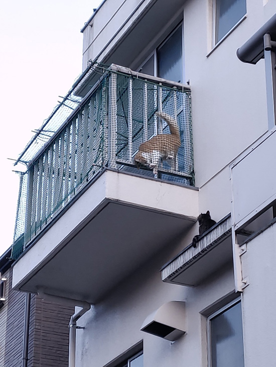 ロミオとジュリエット2枚目