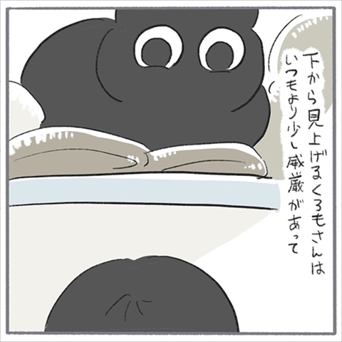 猫のくろもさん