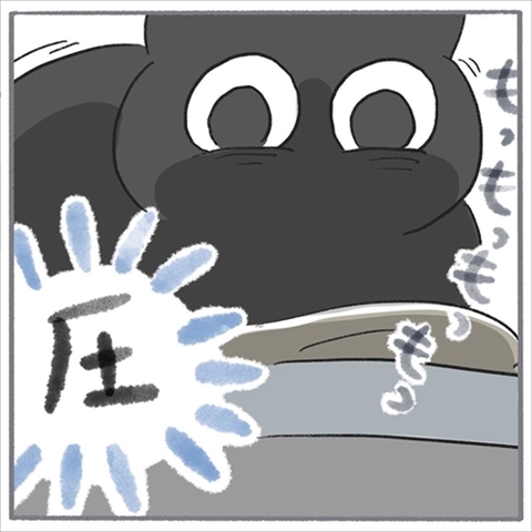 猫のくろもさん