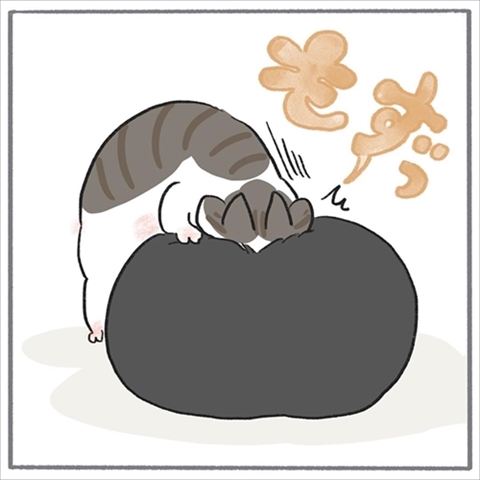 猫のくろもさん