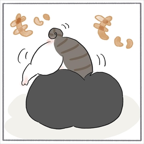 猫のくろもさん