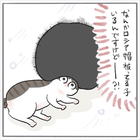 猫のくろもさん