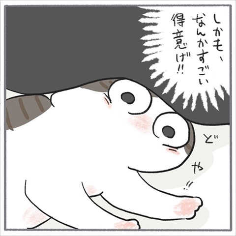 猫のくろもさん