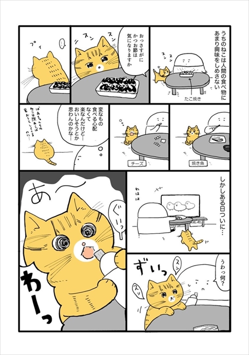 虫が怖かった猫ちゃん