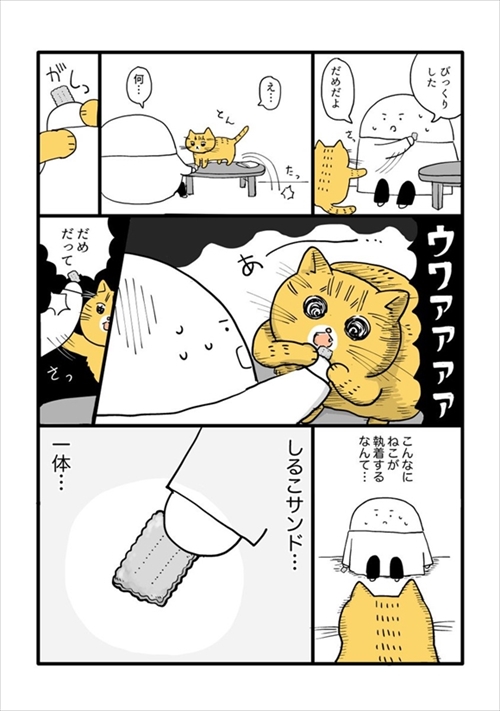 虫が怖かった猫ちゃん