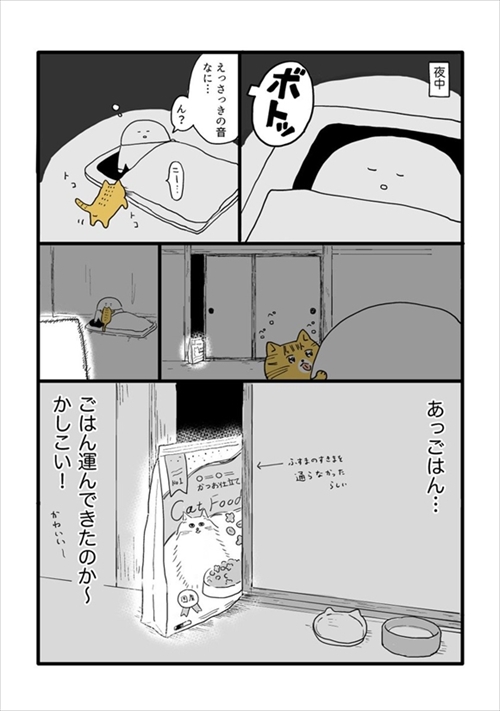 虫が怖かった猫ちゃん
