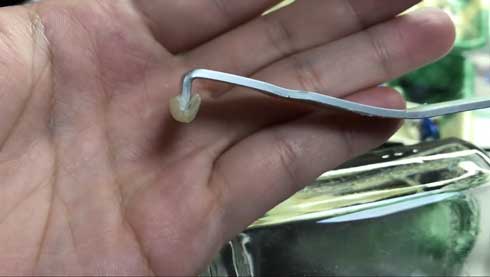 ボトルガンプラ プラモデル 瓶の中で 組み立て ボトルシップ りっしぃ
