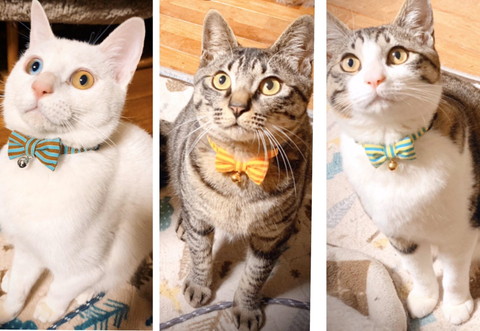 ぴったりくっついてすやすや