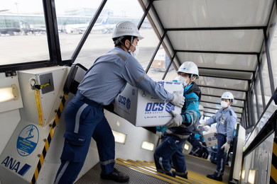 ANA 旅客便 座席 貨物輸送