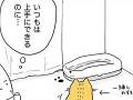 いつもは上手にできるトイレ、愛猫が失敗した原因とは……？　怖がりな猫を描いた漫画が抱きしめたくなるいとおしさ