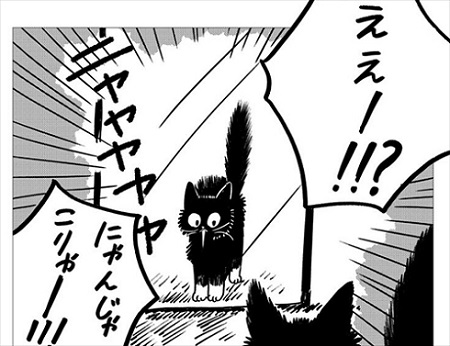 生まれ変わって猫になった話
