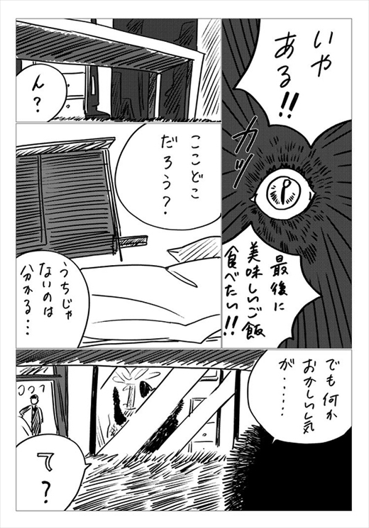 生まれ変わって猫になった話